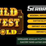 slot gacor terbaik